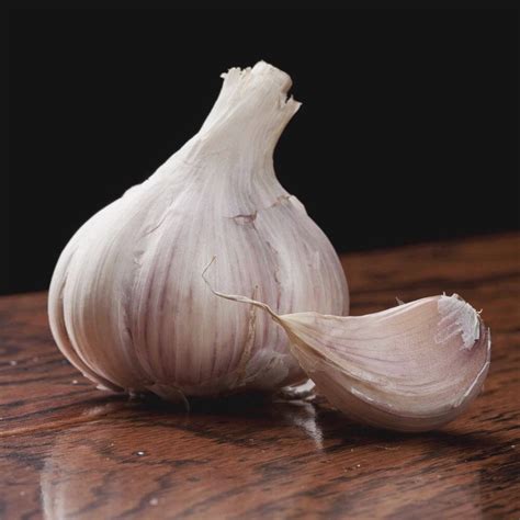 Different Varieties of Garlic! – Vermeer