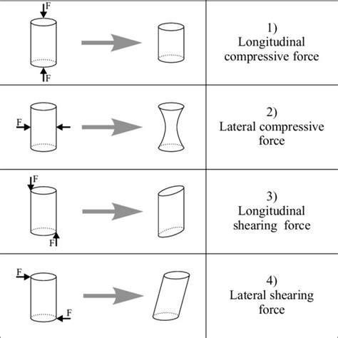 Different Types Of Forces Applied To A Cylinder And Resulting