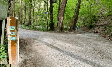 Wandern Mit Hund Im Neanderland Auf Malerischen Pfaden Entlang Der