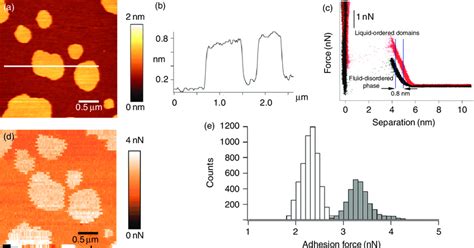 Afm Height Image A Corresponding Height Profile B Typical Force