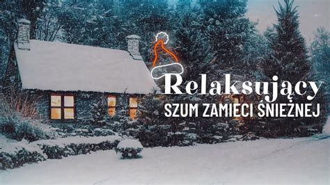 Relaksuj Cy Szum Zamieci Nie Nej Godzin Zimowy Szum Do Snu I