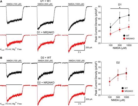 A Traces Of Nmdar Mediated Currents From Acutely Isolated D Wt And