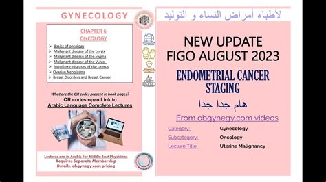 Figo 2023 New Endometrial Cancer Staging تحديث هام جدا ومختلف تماما لمراحل سرطان الرحم Youtube