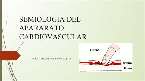 Semiología del Aparato Cardiovascular Noelia Jazmín Villasboa