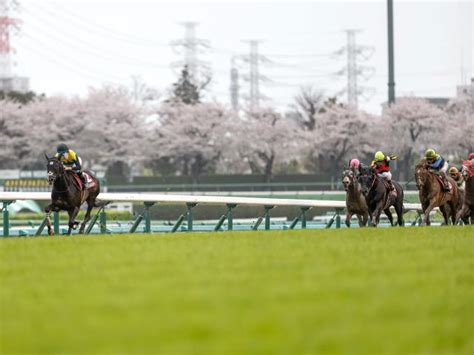 【オールカマー想定馬・騎手】タイトルホルダーやジェラルディーナなど14頭 競馬ニュース Netkeiba