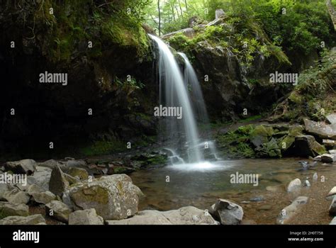 Grotto Falls, Great Smokey Mountain National Park,Tennessee Stock Photo - Alamy