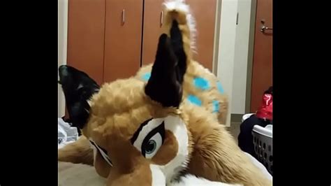 Freyashibe Places Free Mobile Porn Videos IPornTV