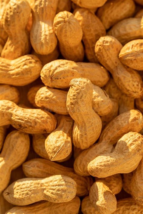 Peanuts in Shells. Roasted in the Shell Peanuts Stock Image - Image of ...