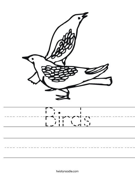 Birds Worksheet Twisty Noodle Worksheets Library