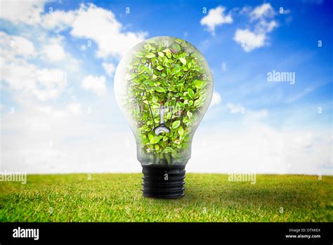 Light Bulb With Plant Inside Stock Photo Alamy