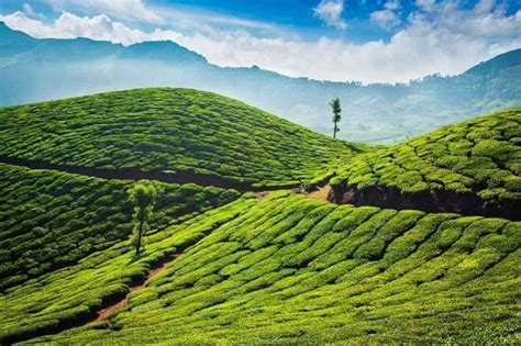 Kotagiri Weather: Exploring the Climate and Average Weather Year Round in Kotagiri - Styles Queues