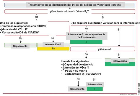 Guía Esc 2020 Para El Tratamiento De Las Cardiopatías Congénitas Del