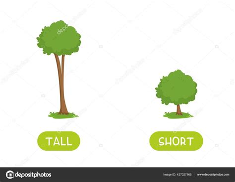 Tall Clipart