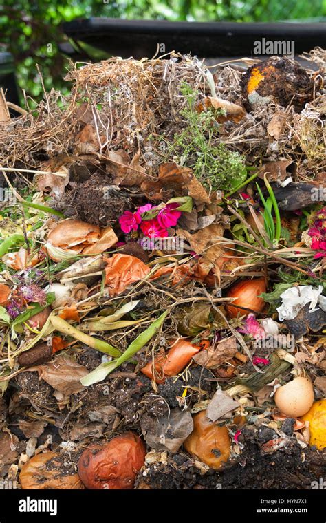 Organic Waste Hi Res Stock Photography And Images Alamy