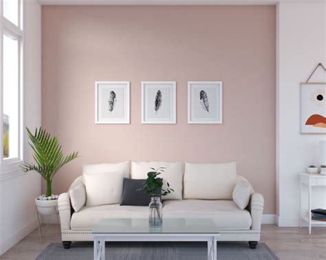 Gorgeous Pink Accent Wall Ideas For Bedroom And Living Room