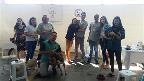 Di Rio De Taubat E Regi O Ong Promove Feira De Ado O De Animais Do Ccz