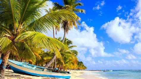 Un Vol Pour Punta Cana En Low Cost Maintenant Cest Possible