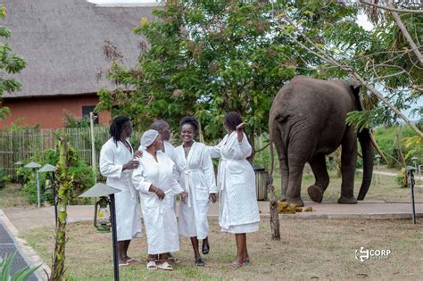 Taking In The Scenery During Walking Safaris At Queen Elizabeth