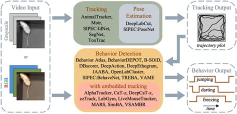 Frontiers Open Source Software For Automated Rodent Behavioral Analysis