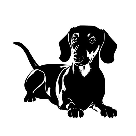 Dachshunds Svg Dog Svg Dachshund Silhouette Dachshund Tattoo