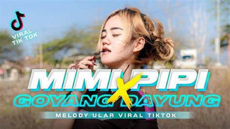 Dj Mimi Pipi X Goyang Dayung Melody Ular Viral Tiktok Getno Lek