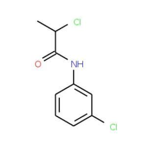 Chloro N Chlorophenyl Propanamide Scbt Santa Cruz Biotechnology