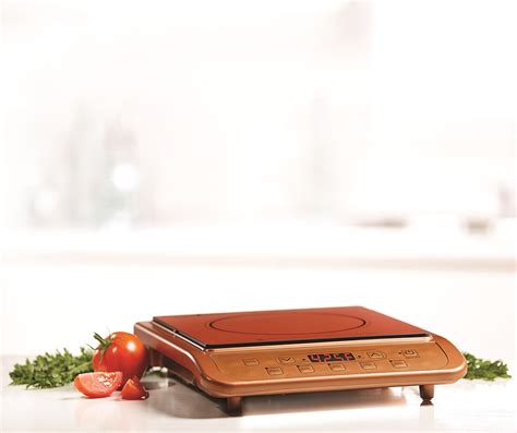 COPPER Portable Induction Cooktop Countertop Camping Hot Plate Burner EBay