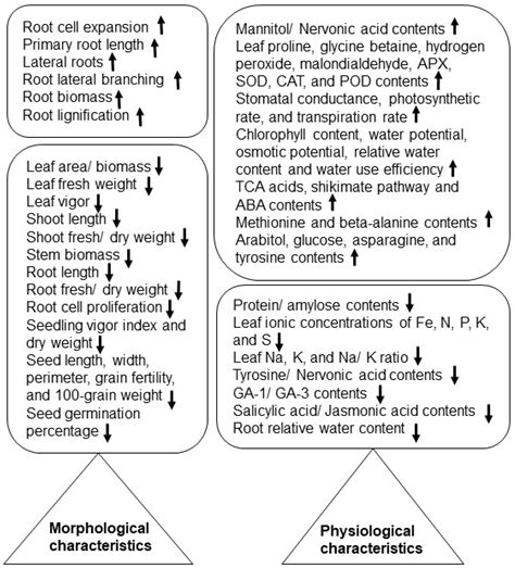 Ijms Free Full Text Proteomic Approaches To Uncover Salt Stress