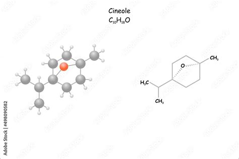 Stylized Molecule Model Structural Formula Of Cineole Use As Flavour