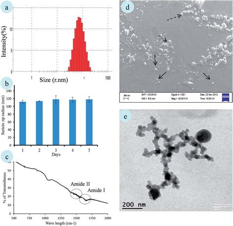 Size Stability And Morphology Of The Fabricated Silk Protein Sericin