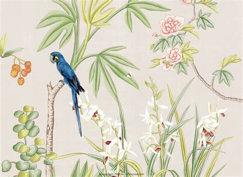 Details More Than Chinoiserie Wallpapers Latest In Coedo Vn