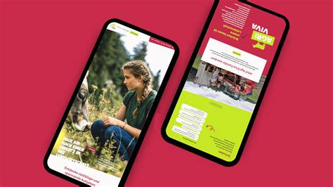 Award-Winning Digital-Marketing-Agentur | BlueGlass | Team Farner