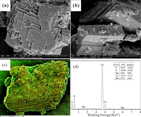 Surface Morphologies And Elemental Analysis Of The Seed Crystals And