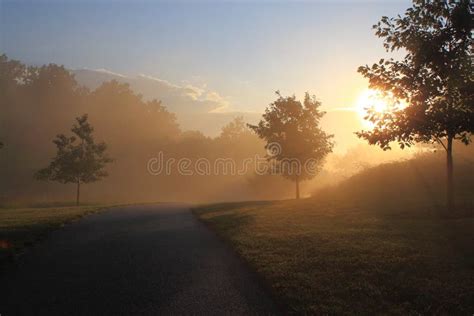 Sunrise in Foggy Morning stock photo. Image of landscape - 19954298