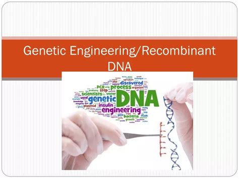 Ppt Genetic Engineering Recombinant Dna Powerpoint Presentation Free Download Id 9371623