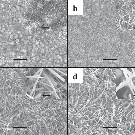 Sem Images Of The Nanostructures Synthesized At A C H B