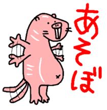 Naked Mole Rat By Oshimuchi Sticker
