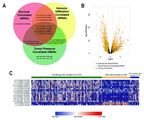 Identification And Analysis Of Ernas Identified To Be Critical To