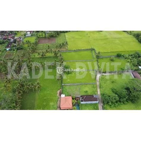 Dijual Tanah M Lodtunduh Ubud Bali Lingkungan Villa Tenang Dan