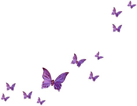 Download Lavender Clipart Lavender Butterfly - Transparent Background Butterflies Png (#5479787 ...