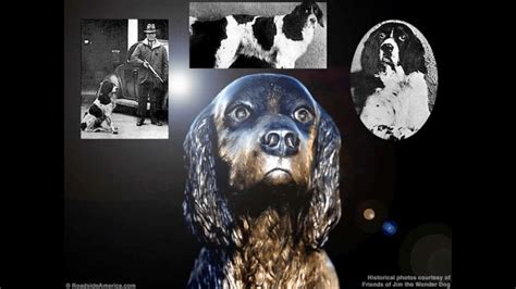 JIM THE WONDER DOG TO BE HONORED ON 98TH BIRTHDAY | KMMO - Marshall, MO