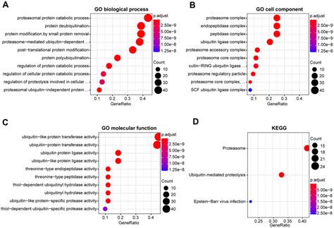 Functional Enrichment Analysis Of Deupsgs In Hnscc A C The Top Ten