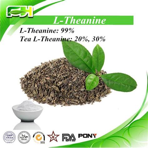 Green Tea Extract L Theanine Shaanxi Fuheng FH Biotechnology Co Ltd