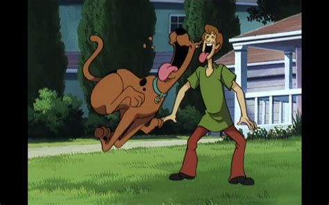 Scooby Doo: Zombie Island | Scooby doo, Scooby, Zombie island