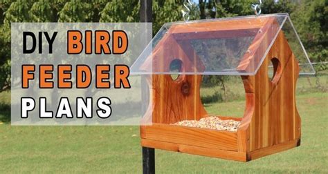 DIY Bird Feeder Plans (Simple Homemade Feeder) – DIY Projects, Patterns ...