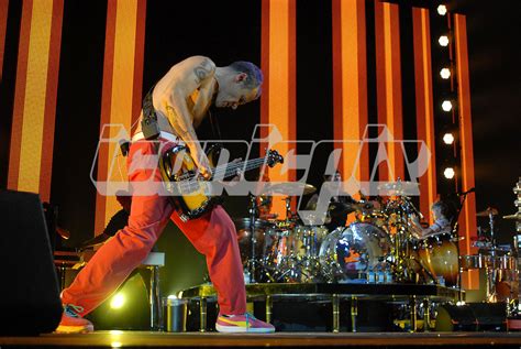 Red Hot Chili Peppers Performing Live In 2011 Iconicpix Music Archive