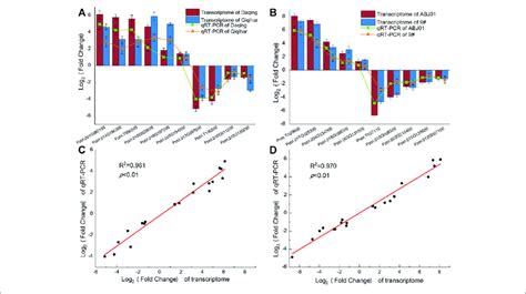 Expression Pattern Of 20 DEGs By QRT PCR And Transcriptome