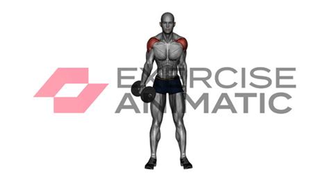 Dumbbell One Arm Lateral Raises Exercise Animatic