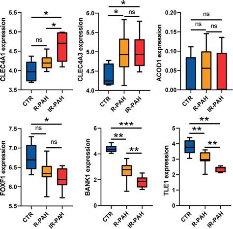 Validation Of The Hub Genes Boxplots Showing The Expression Level Of