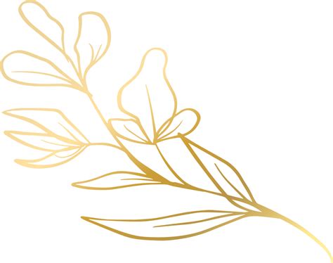 Free Blattgold Linie Png With Transparent Background